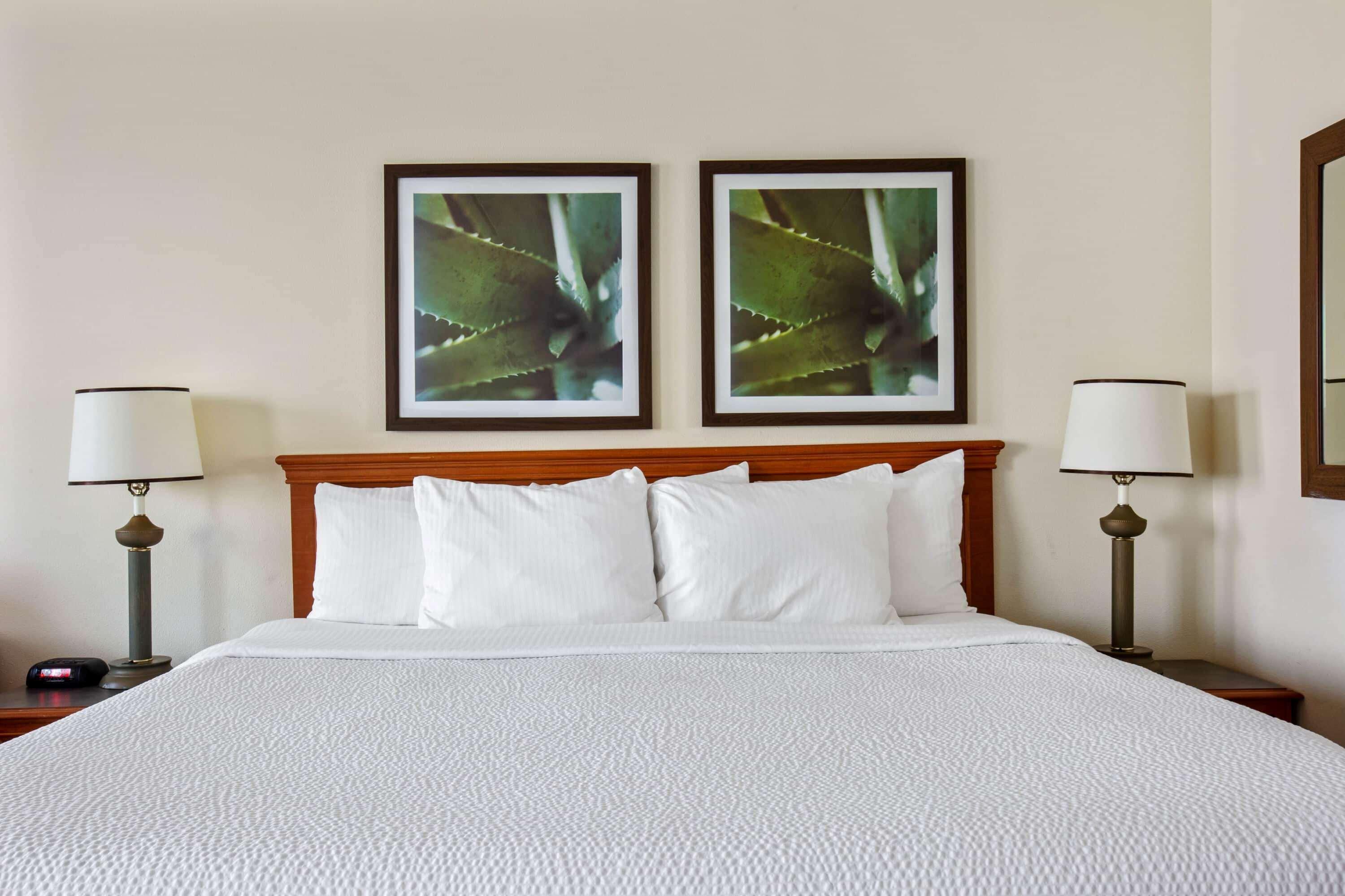 La Quinta Inn & Suites By Wyndham Sawgrass Sunrise Exterior foto